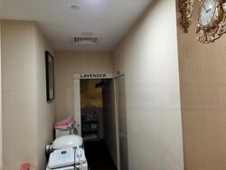 Cuppage Plaza (D9), Retail #472136361